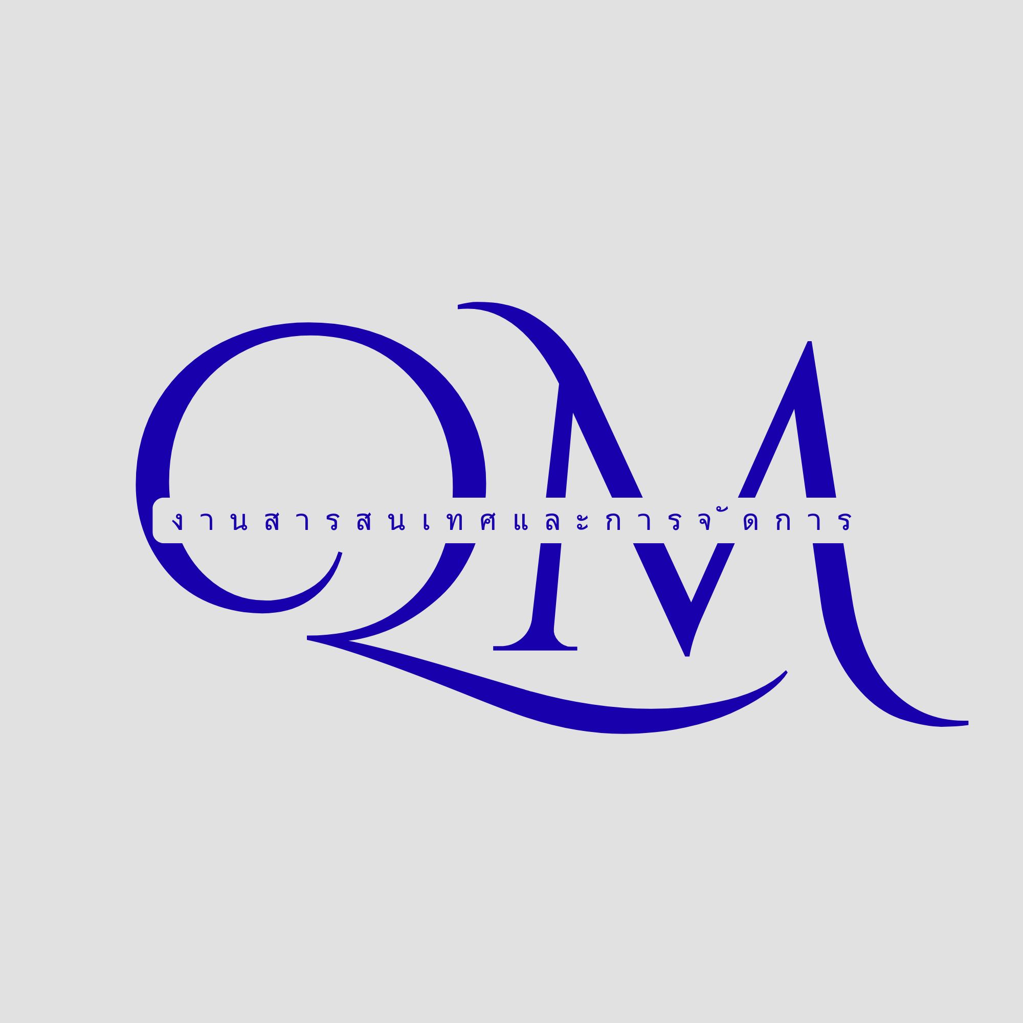 งานสารสนเทศและการจัดการ (QM)